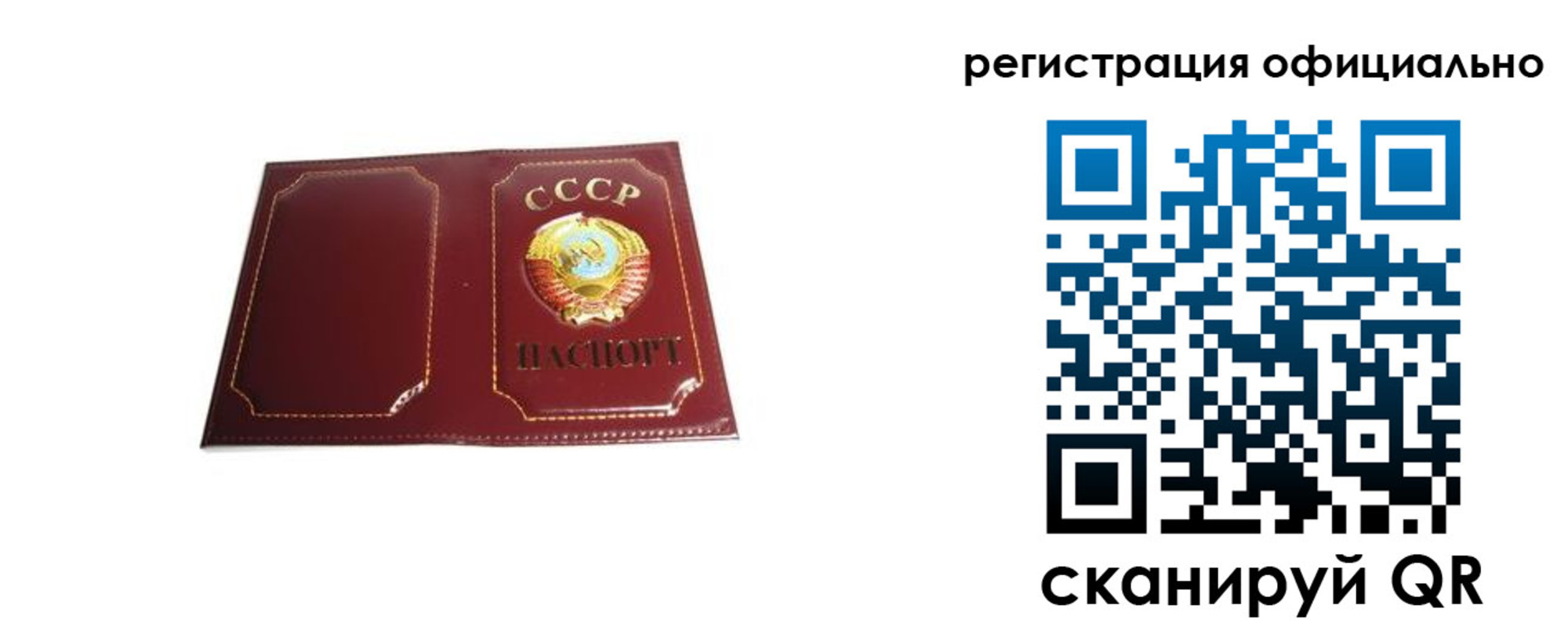 прописка в Зеленоградске